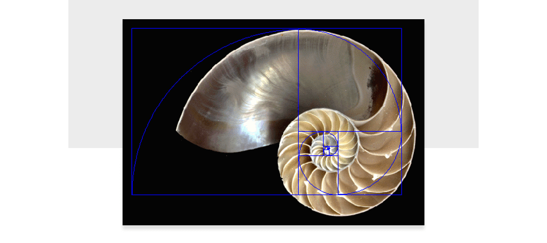 get (3).png